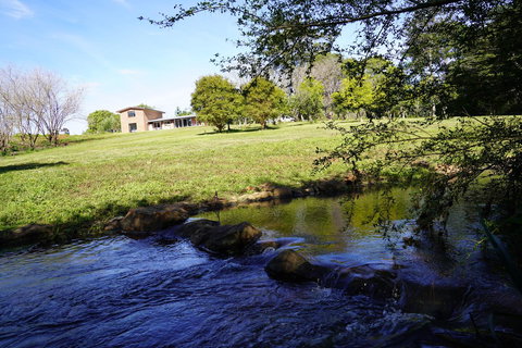 McCarthy Grove Maleny - Darwin Holiday 5