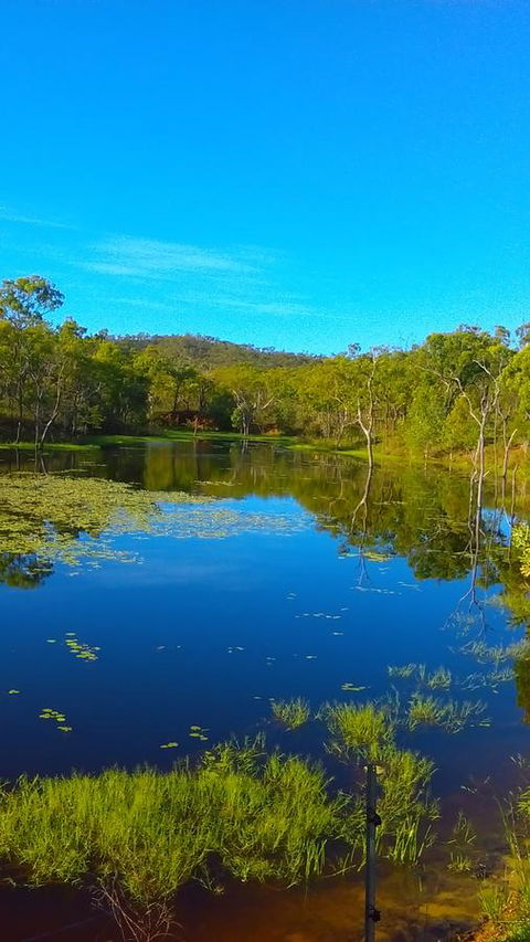 Ironbark House - Darwin Holiday 21