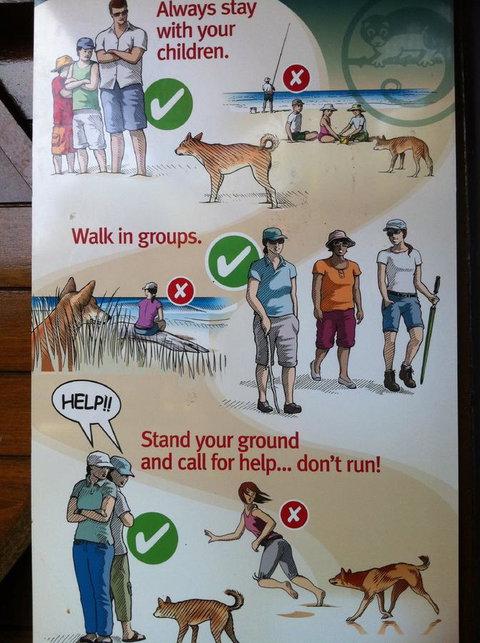 Fraser Island Retreat - Darwin Holiday 31