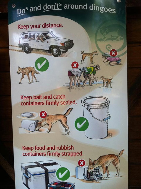 Fraser Island Retreat - Darwin Holiday 32