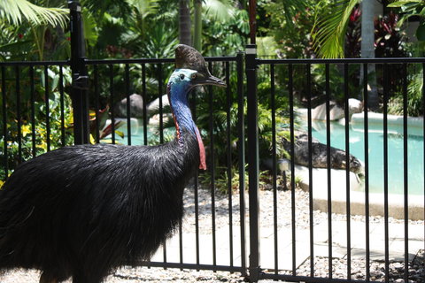 Boutique Bungalows - Darwin Holiday 17