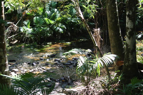 Boutique Bungalows - Darwin Holiday 18
