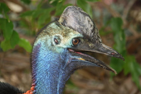 Boutique Bungalows - Darwin Holiday 27