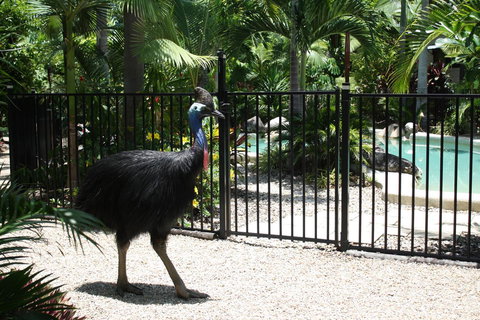 Boutique Bungalows - Darwin Holiday 15