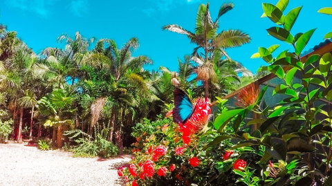 Boutique Bungalows - Darwin Holiday 14