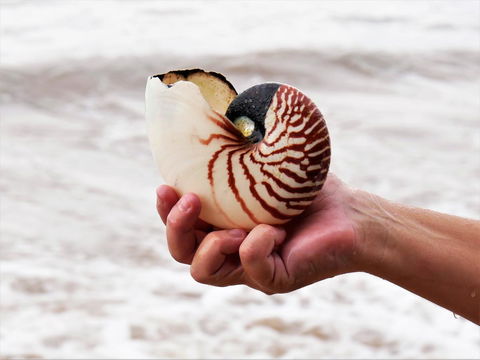 Boutique Bungalows - Darwin Holiday 9