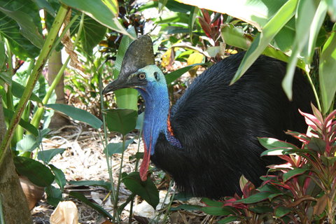 Boutique Bungalows - Darwin Holiday 16