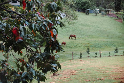 La Casita Banca - Luxury Holiday Home - Darwin Holiday 3