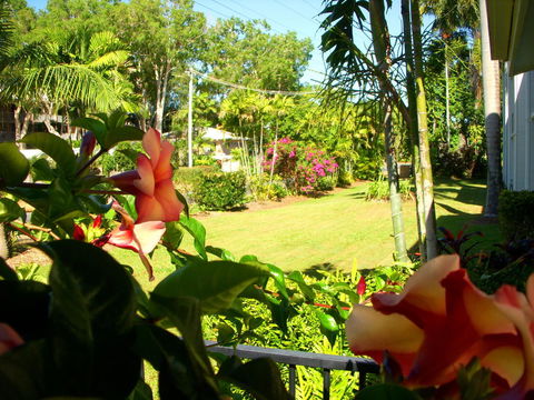 Clifton Sands Holiday Units - Darwin Holiday 38