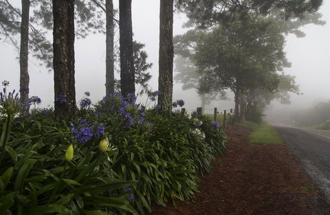 Bower 63 - Darwin Holiday 26