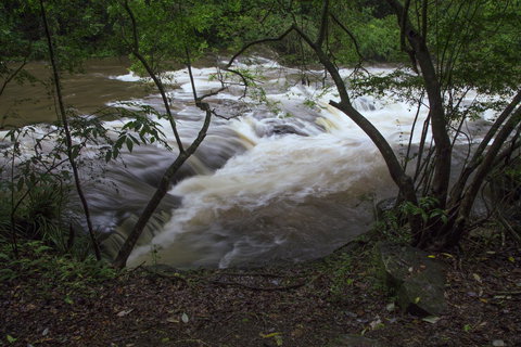 Bower 63 - Darwin Holiday 24