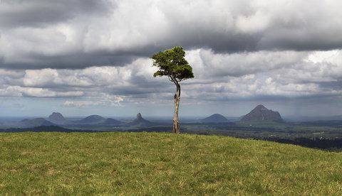 Bower 63 - Darwin Holiday 28
