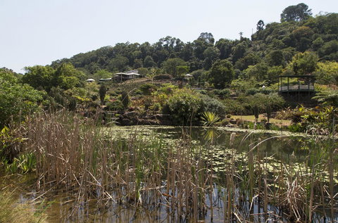 Bower 63 - Darwin Holiday 32