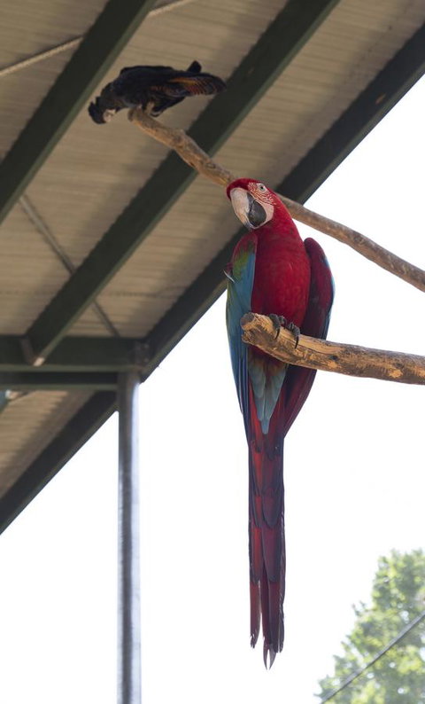 Bower 63 - Darwin Holiday 36