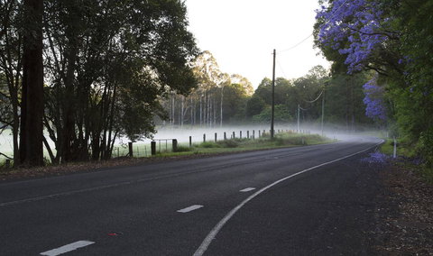 Bower 63 - Darwin Holiday 19