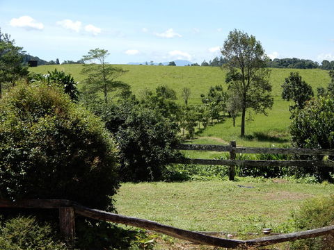 Malanda Manor Guesthouse - Darwin Holiday 17