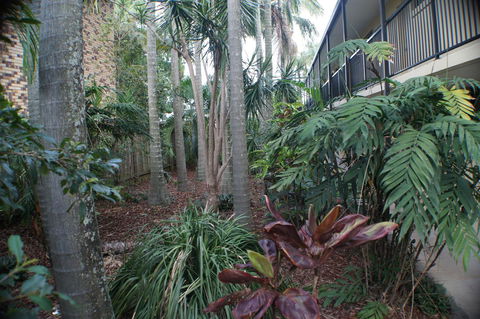 Best Western Airport 85 Motel - Darwin Holiday 34