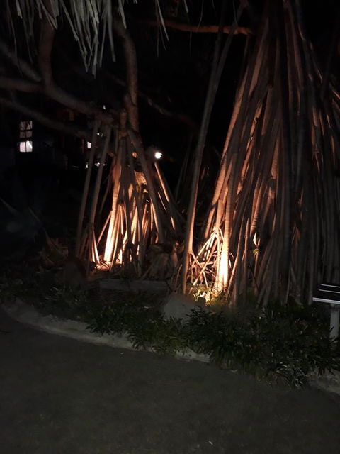 Pandanus Coolum Beach - Darwin Holiday 10