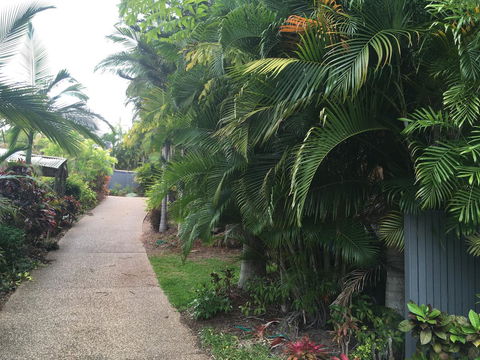 Casuarina - Darwin Holiday 21