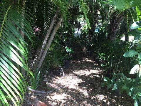 Casuarina - Darwin Holiday 12