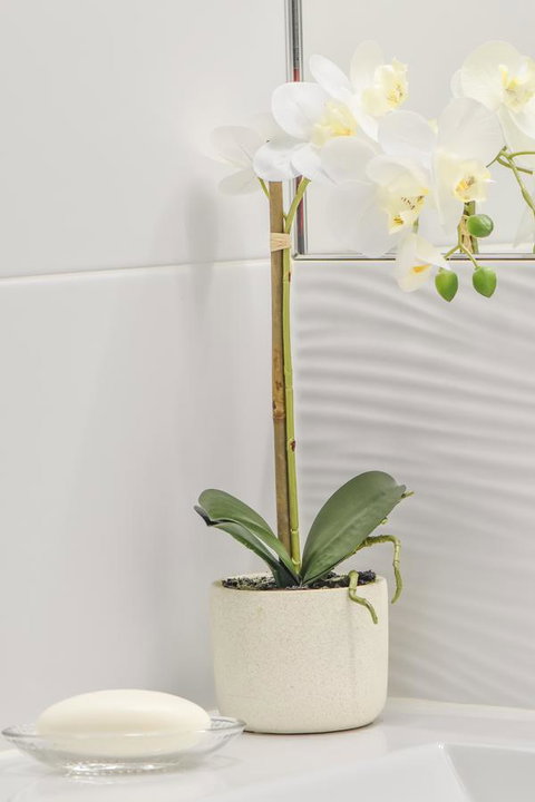 The Guesthouse Maleny - Darwin Holiday 32