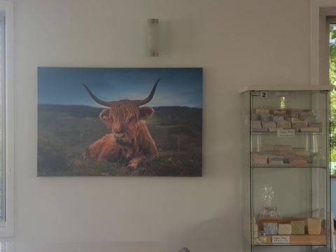 Highland House - Darwin Holiday 4