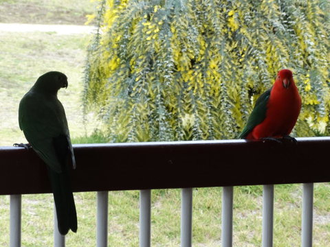 Loughmore House - Darwin Holiday 9