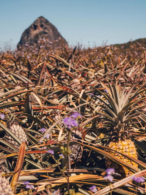 The Villa At The Bay - Darwin Holiday 24