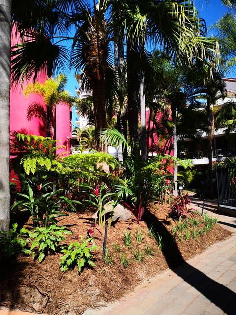 Enderley Gardens Resort - Darwin Holiday 12