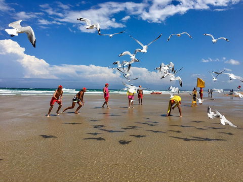 Hi Ho Beach Apartments On Broadbeach - Darwin Holiday 31