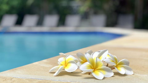 Hi Ho Beach Apartments On Broadbeach - Darwin Holiday 2