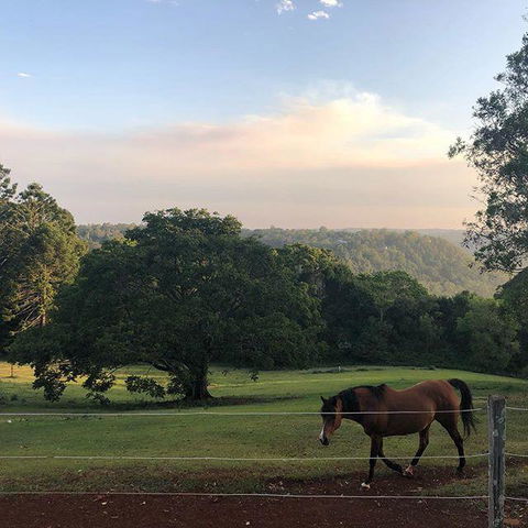 Montville Holiday Apartments - Darwin Holiday 3