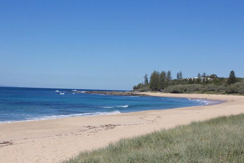 Wellington Parade 1/15a, Shelly Beach, Caloundra - Darwin Holiday 0