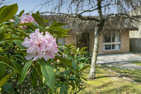 Wentworth Rose - Darwin Holiday 2