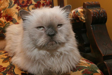 Whale Inn & Restaurant - Darwin Holiday 3