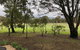 Willandra Tiny House - thumb 3