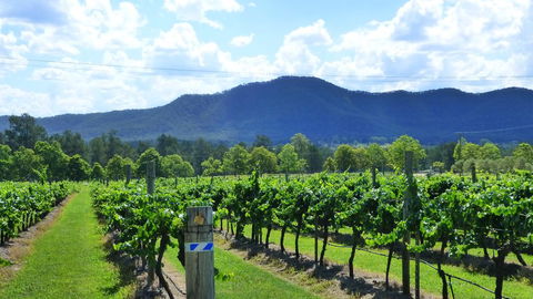 Winmark Wines - Darwin Holiday 1