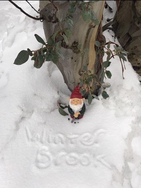 Winterbrook Chalet - Darwin Holiday 3