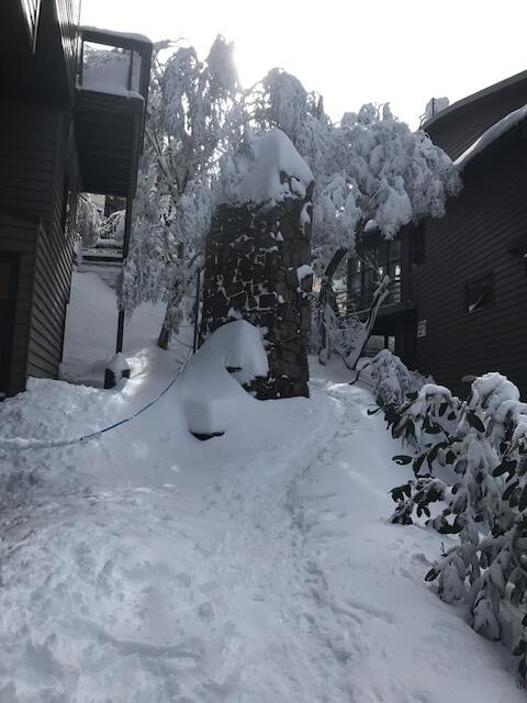 Winterbrook Chalet - Darwin Holiday 2