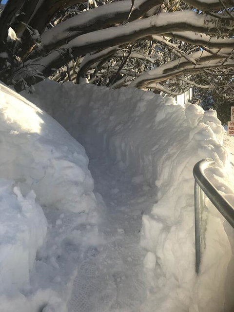 Winterbrook Chalet - Darwin Holiday 1