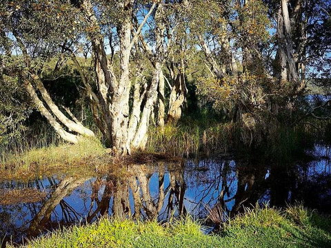 Wisteria Cottage On The Lagoon/Beach - Darwin Holiday 2