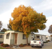 Wodonga Caravan  Cabin Park - Darwin Holiday