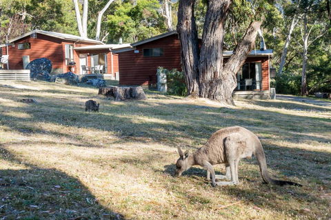 Wonderland Cottages - Darwin Holiday 1