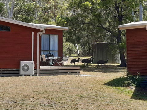 Wonderland Cottages - Darwin Holiday 3