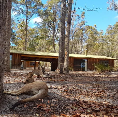 Woodbine Park Eco Cabins - Darwin Holiday 2