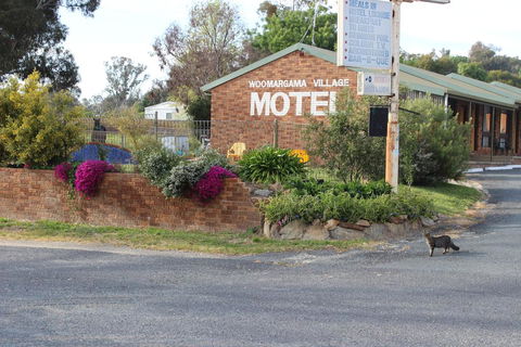 Woomargama Motel - Darwin Holiday 3