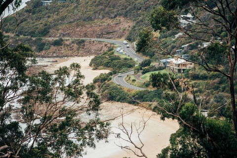WYE UP - Through The Treetops. Out To The Sea. - Darwin Holiday 2