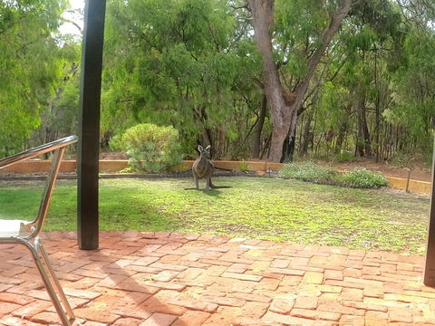 Yallingup Pet Friendly Bush Retreat - Darwin Holiday 3