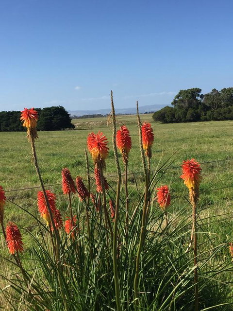 Yanakie Holiday House - Darwin Holiday 2
