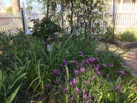 Yapera On Lucan - Darwin Holiday 2